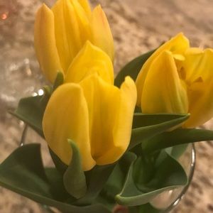 Meet your Posher, Andrea